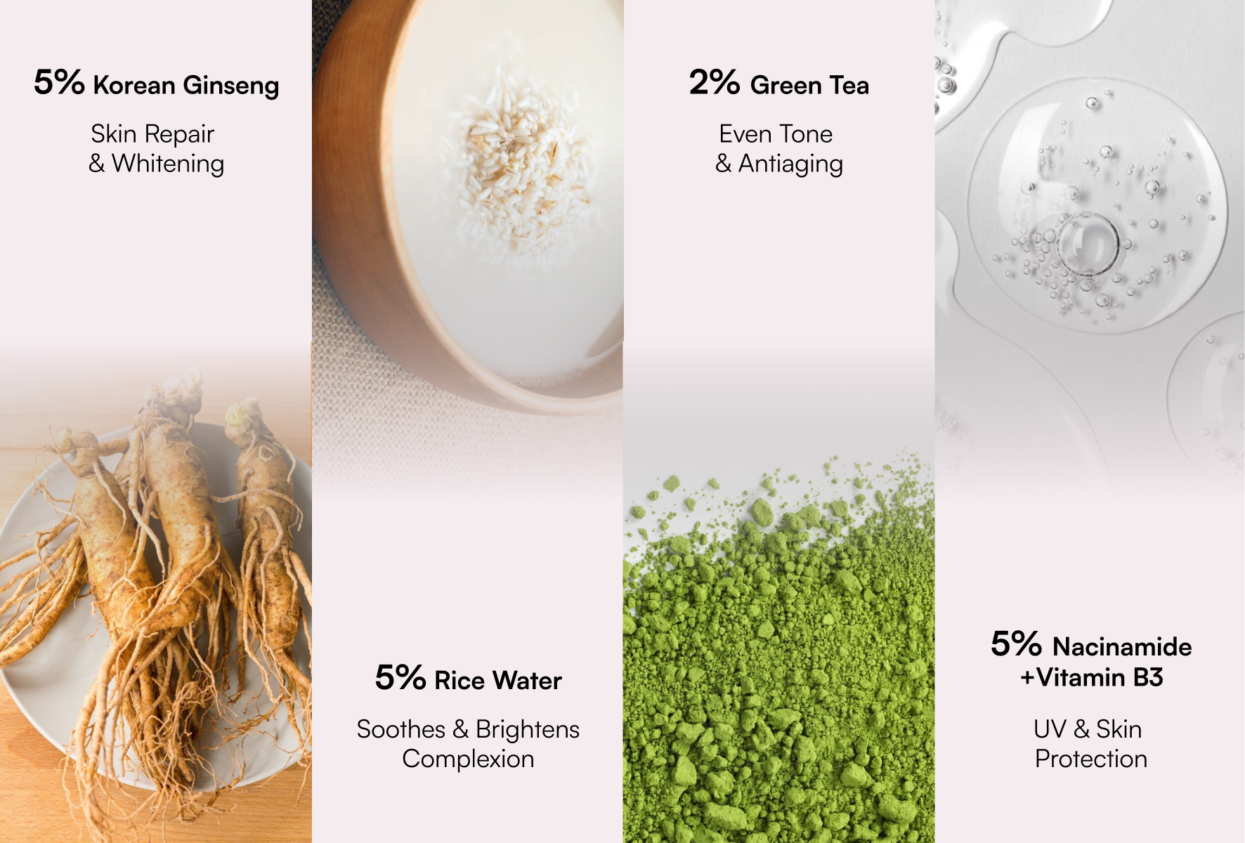 Tilt Sunscreen ingredient breakdown — Korean Ginseng, Rice Water, Green Tea, Niacinamide